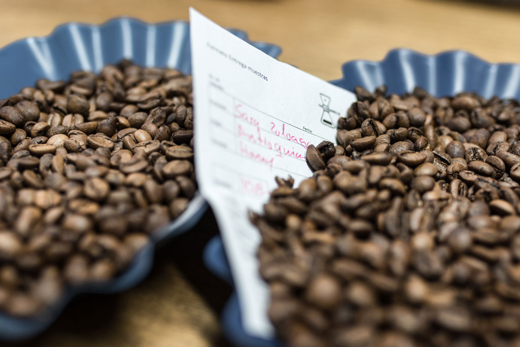 Cupping u vás doma: 5 kroků kávové degustace Cupping u vás doma: 5 kroků kávové degustace